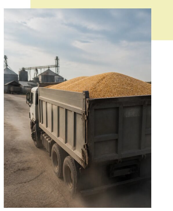 Перевозка сельхозпродукции навалом в Ревду по цене от 3174 р. | Агросервис-Рвд